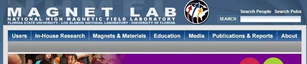 MagnetLabInteractiveTutorials